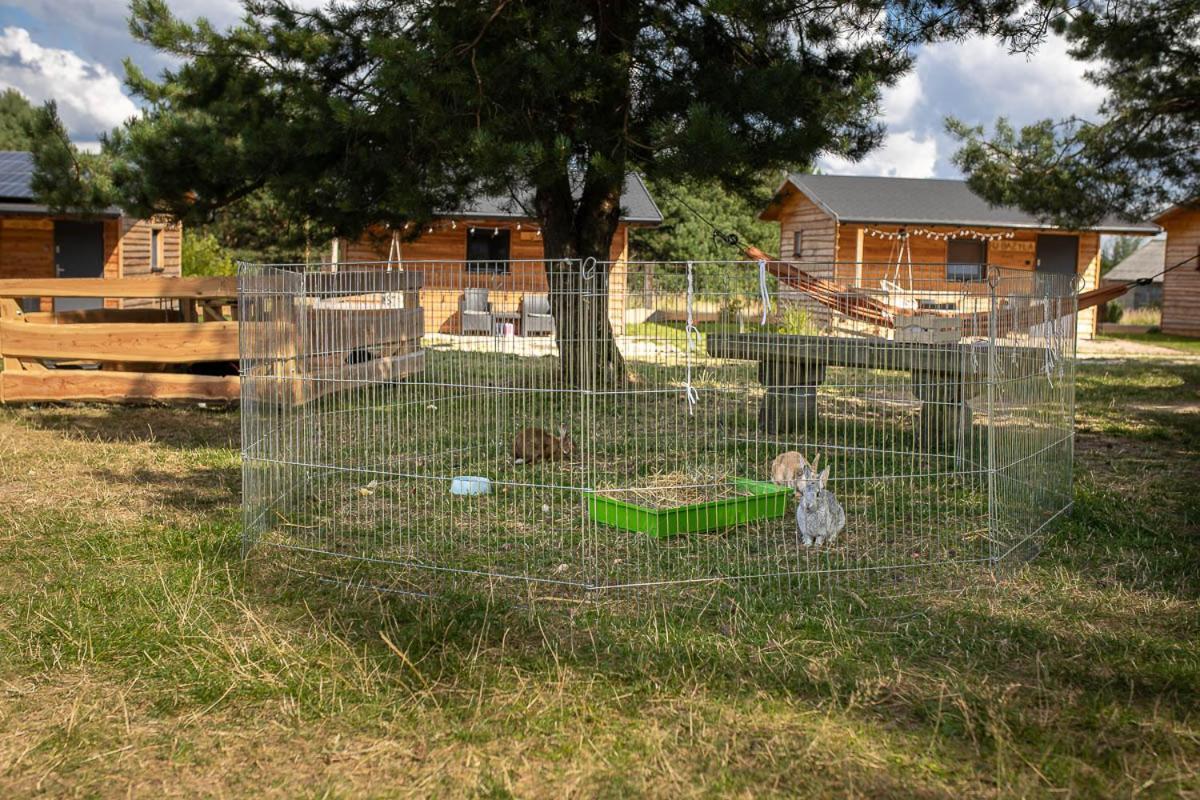 Sokole Ranczo Villa Biskupice Kocurów Eksteriør billede
